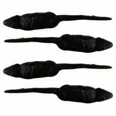 Joris Zwarte Ratten – 65 g – 30 Stuks