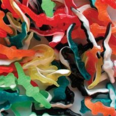 20156 Per Stuk 26 Haribo Krokodillen – 1 kg