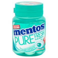 27012 26. Mentos Gum Bottle Pure Fresh Wintergreen (SV) – 6 Stuks