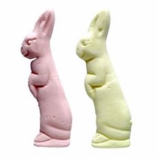 28489 26 Etna Haasje Guimauve – 11 cm – x50