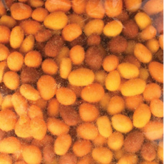 30911 26 Festivalnoten Pinda's 6 x 1,5 kg