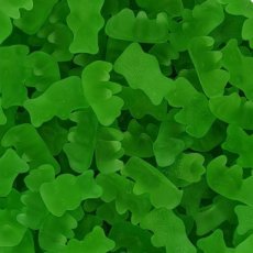 44394 26 Joris Beertjes Groen – Tubo – 2,5 kg