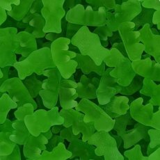 50752 26 Joris Beertjes Groen Peer – Tubo – 1 kg