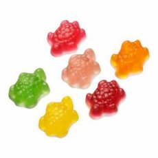 53048 26 Frisia Schildpad – 1,5 kg