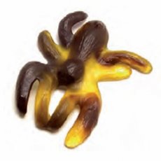 56269 26 Lollywood Spider XL – 60 g – 1 kg