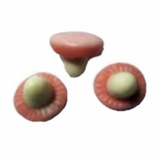 56631 26 Dulceplus Jelly Paddenstoelen – 1 kg